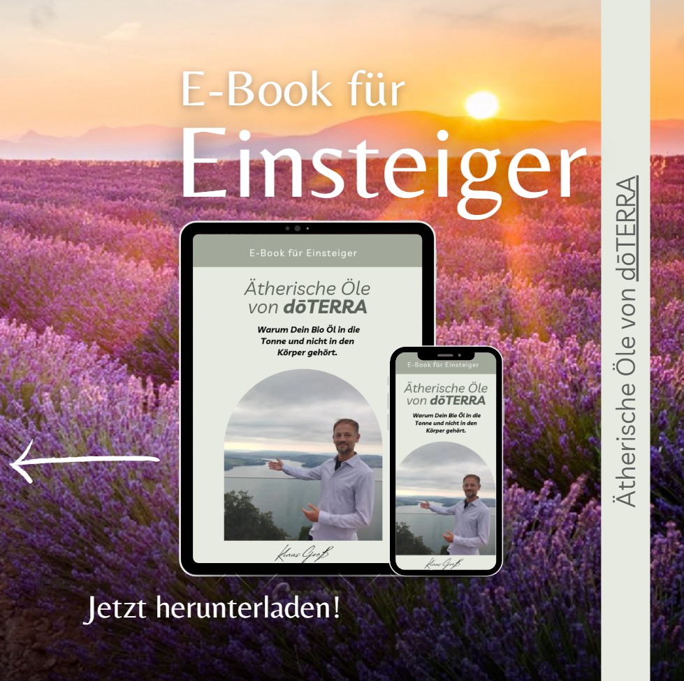 Klaus Gross Free Ebook download 2025